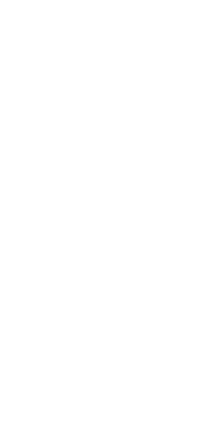 創業60余年受け継がれ、進化を続ける、仔馬